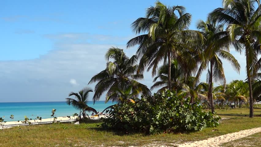 Beautiful tropical dream beache from Carribean.