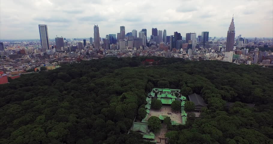 Meiji Shrine hidden in its forest with the Shinjuku skyline beyond.