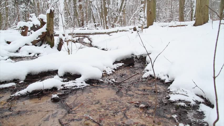 winter creek, the slider