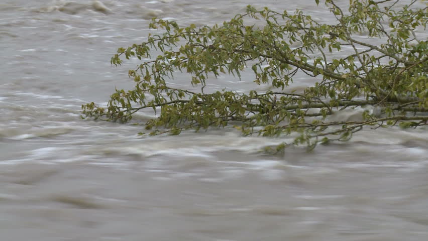 River at high flood water