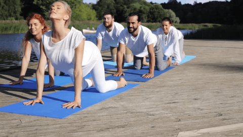 fitness, sport, and healthy lifestyle concept - group of people making yoga in cat pose on river or lake berth