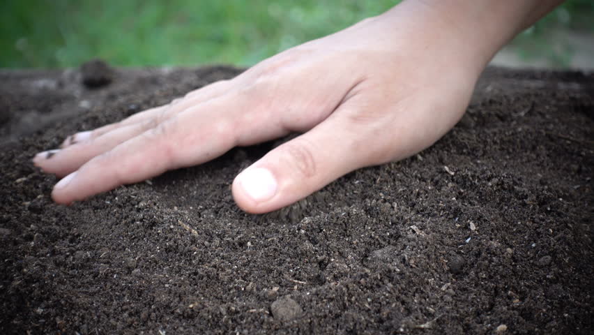 Woman hand prepare soil for planting tree | Shutterstock HD Video #19162972