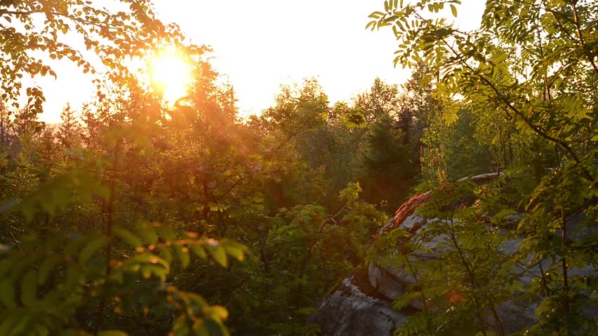 Beautiful summer mountain landscape. Rock formation in forest during sunset.