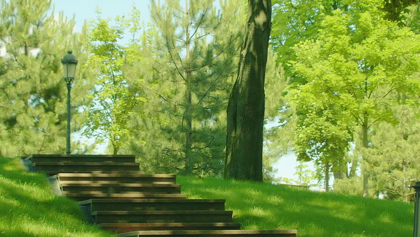 Stairs in park at summer. Park steps in green forest environment. Establishing shot of staircase in summer park. Lantern near stairway in park