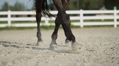 SLOW MOTION, CLOSE UP, DOF: Beautiful dark dressage horse riding sideways trotting renver in big sandy manege. Dressage rider and horse doing a lateral work half-pass element in outdoors riding arena