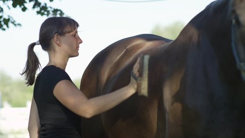 SLOW MOTION, CLOSE UP, DOF: Happy smiling young woman owner brushing and grooming her stunning mighty muscular stallion. Female owner cleaning beautiful and healthy shiny horse coat with natural brush