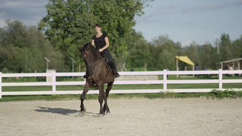 SLOW MOTION, CLOSE UP, DOF: Dark dressage horse riding sideways trotting haunches-in in big sandy manege. Female dressage rider and horse doing a lateral work traver element in outdoors riding arena