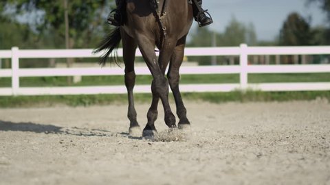 SLOW MOTION, CLOSE UP, DOF: Strong powerful dark brown dressage horse riding traver in big sandy manege. Female dressage rider and horse doing a leg-yield haunches-in element in outdoors riding arena