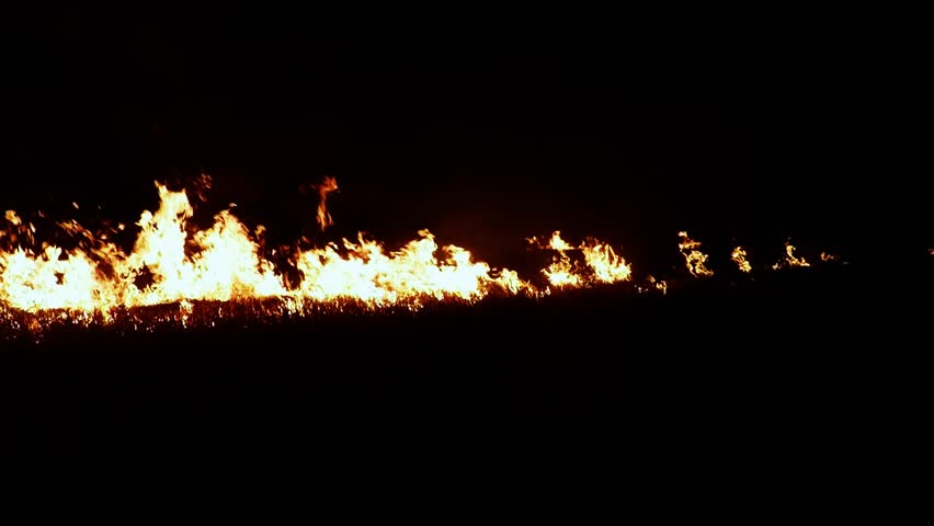 Psychedelic Frames of Movement of Fire in the Darkness