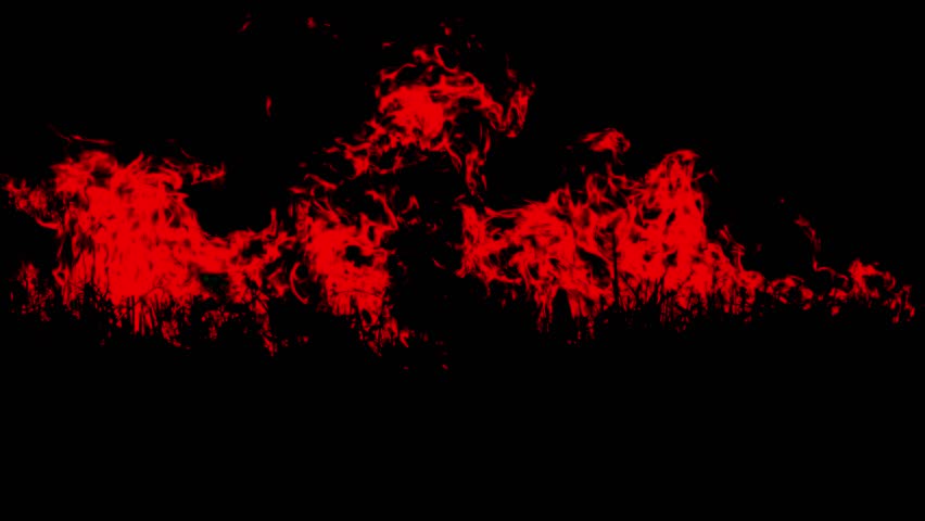 Psychedelic Frames of Movement of Fire in the Darkness