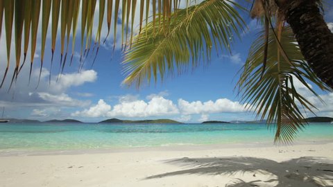 Still video of palm trees on a tropical beach in the Caribbean, Salomon Bay, St John
