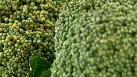 Vegetable, Broccoli, closeup, sequence, 2 clips Stock Video