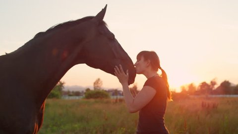 SLOW MOTION CLOSE UP: Young female rider petting and kissing her beautiful dark bay horse at sunset. Cheerful cowgirl feeding treats and caressing black stallion on sunny meadow field at golden light