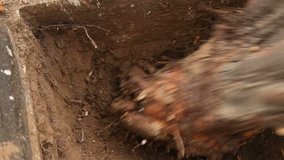 Pulling out tree roots - Powered by Shutterstock - Get 15% off with code: PIKWIZARD15