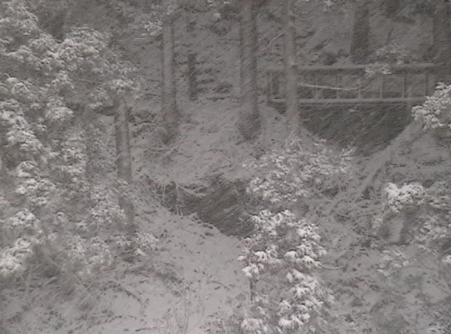 bridge on forested hillside with heavily falling snow