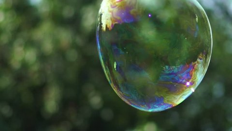 Metamorphosis of big soap Bubbles in Slow Motion. Close up view of beautiful big soap bubble is flying near the trees at sunny day. Big bubble shimmering colors of the rainbow.
