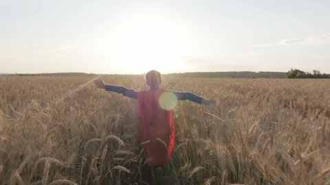 Boy with a superman cape stands in a golden fields looking to the horizon. A boy dressed as a superhero runs through a wheat field. Children's games, child's dream. Child playing in field at sunset