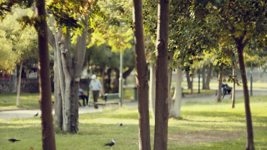 4K Urban,city public park during sunset.Oof,abstract,beautified.4K UHD real time telephoto shot af an urban park on a summer evening.People out of focus abstract quality.