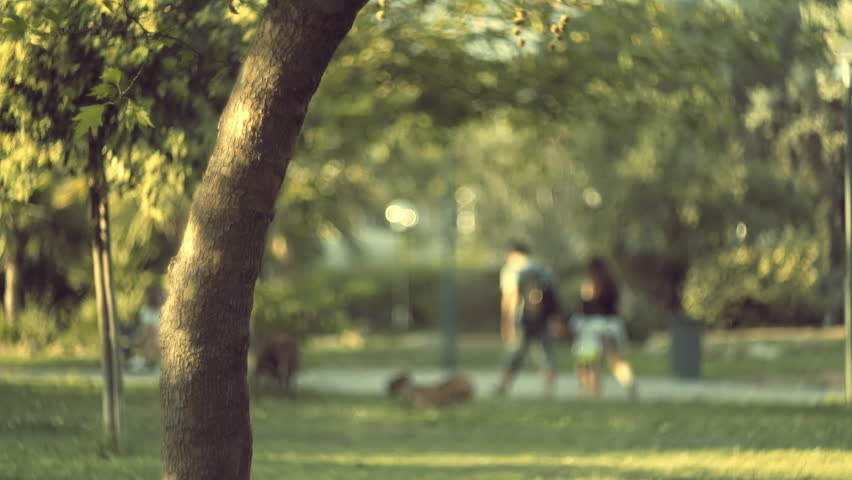 Urban, public park at sunset.Oof,abstract couple hand in hand slomo 100p.Telephoto shot af an urban park on a summer evening.People out of focus sit on grass walk their dogs,recreate.Dreamy,abstract