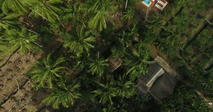 Jungle in Asia. People live right among the trees , they aslo work here. Aerial shooting