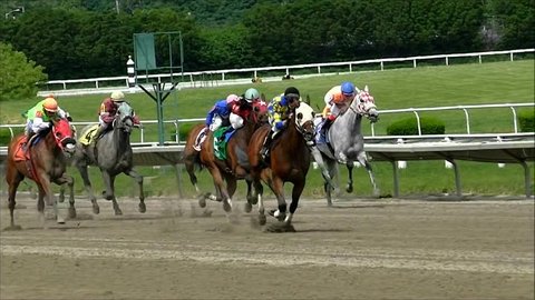 Suffolk Downs Boston, USA - June 10, 2014 - Race horses cross track finish line in slow motion.