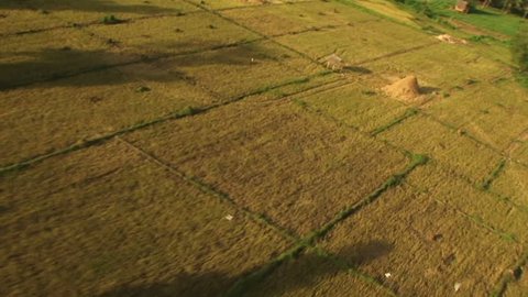 HD: Flying over farmland in the Philippines