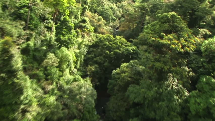 HD: Flying through jungle canyon