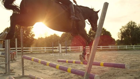 SLOW MOTION, CLOSE UP: Female rider practicing showjumping, jumping the fence and knocking down obstacle pole by accident. Gelding cantering towards barrier, rail drops down as horse kicks the fence
