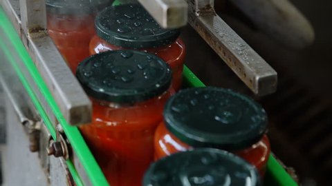 Automatic Line for Processing of Vegetables.Workers on the Production of Canned Food.Preserving Tomatoes. Glass jars with Tomatoes on a Conveyor belt.CloseUp