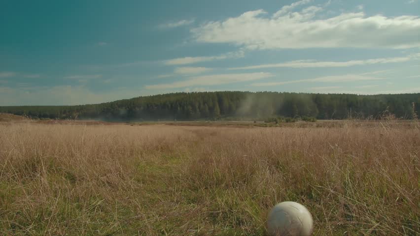 Little boy playing soccer in the field. Child running through meadow with a ball. Countryside and forest