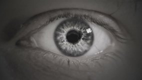 Macro shot at dilated pupil.
Video footage of moving eye.