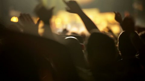 Footage of a crowd partying at a rock concert