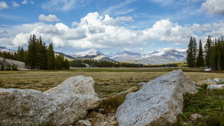 Scenic Meadow In Yosemite National Park