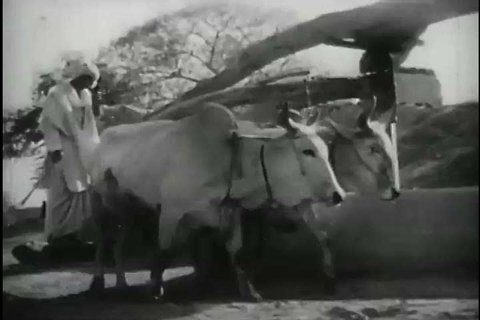India's birth to independence in 1947, with footage of Mahatma Gandhi, Muslim leader of Pakistan Muhammad Ali Jinnah, and Prime Minister of India, Jawaharlal Nehru. (1940s)
