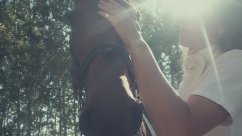 Female rider and horse in a sunny forest. Woman stroking the horse. Harness for horses made of leather. Brown horse. Horse silhouette. Graceful horse. Horse riding in the summer forest.