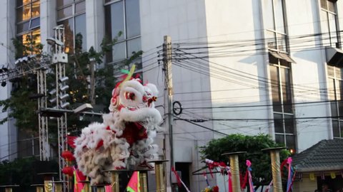 Traditional lion dance during Chinese New Year Adlı Stok Video