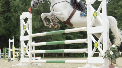SLOW MOTION, CLOSE UP: Beautiful grey horse jumping over fence and performing in competitive jumping event in outdoors sandy parkour riding arena. Unrecognizable person riding powerful gelding