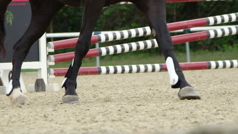 SLOW MOTION, CLOSE UP: Beautiful brown horse cantering and performing in competitive jumping event in outdoors sandy parkour riding arena. Powerful gelding galloping, competing in show jumping