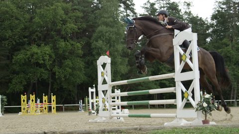 SLOW MOTION, CLOSE UP: Beautiful dark bay horse show jumping over fence and performing in competitive event in outdoors sandy parkour riding arena. Powerful gelding competing in horseback riding