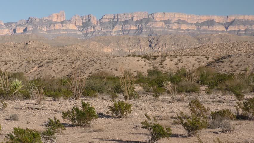 Desert Big Bend National Park Dry Season Shrubs. Big Bend National Park, Texas, USA - December, 2015