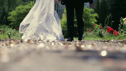 A beautiful married couple walking down the park and holding their hands. Golden glittering confetti is spinning on the ground. Wedding dress. Green trees and a building on the background.