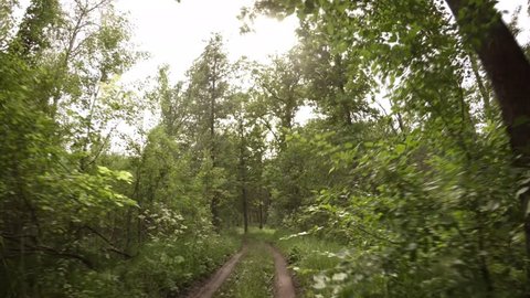 Riding a mountain bike along a muddy. rutted nature trail through a wilderness area on a cloudy day. Video 4k