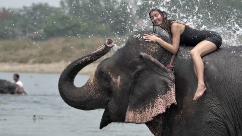 Girl have a shower on the elephant