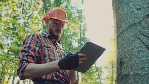 Logger in hat looking at tablet