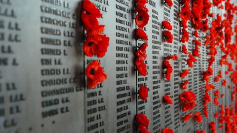 CANBERRA, AUSTRALIA-CIRCA DECEMBER 2011: a visitor places a red poppy on the Honour Roll at the Australian War Memorial