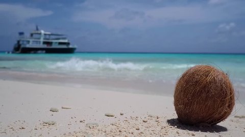 Coconut on tropical beach of Klein Curacao with white sand in the Caribbean in slow mo