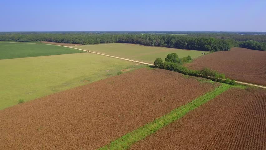 Aerial video cultivated farm land in South Carolina USA