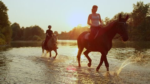 SLOW MOTION CLOSE UP DOF: Two riders riding horses and walking in shallow water at magical golden sunset along overgrown riverbank. Palomino and dark brown horse on ride in river at beautiful sunrise