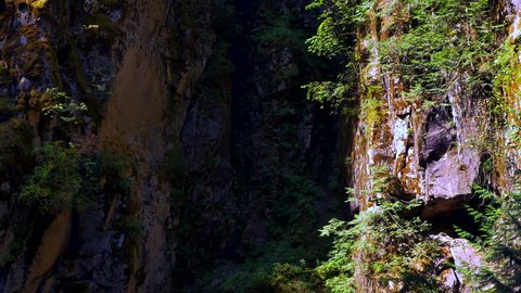 4K Rock Face Crevasse, Small Ferns and Dark Shadow, Stone Wall and Moss