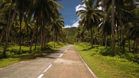 Camera moving on road surrounded by palm trees, Siargao, Philippines